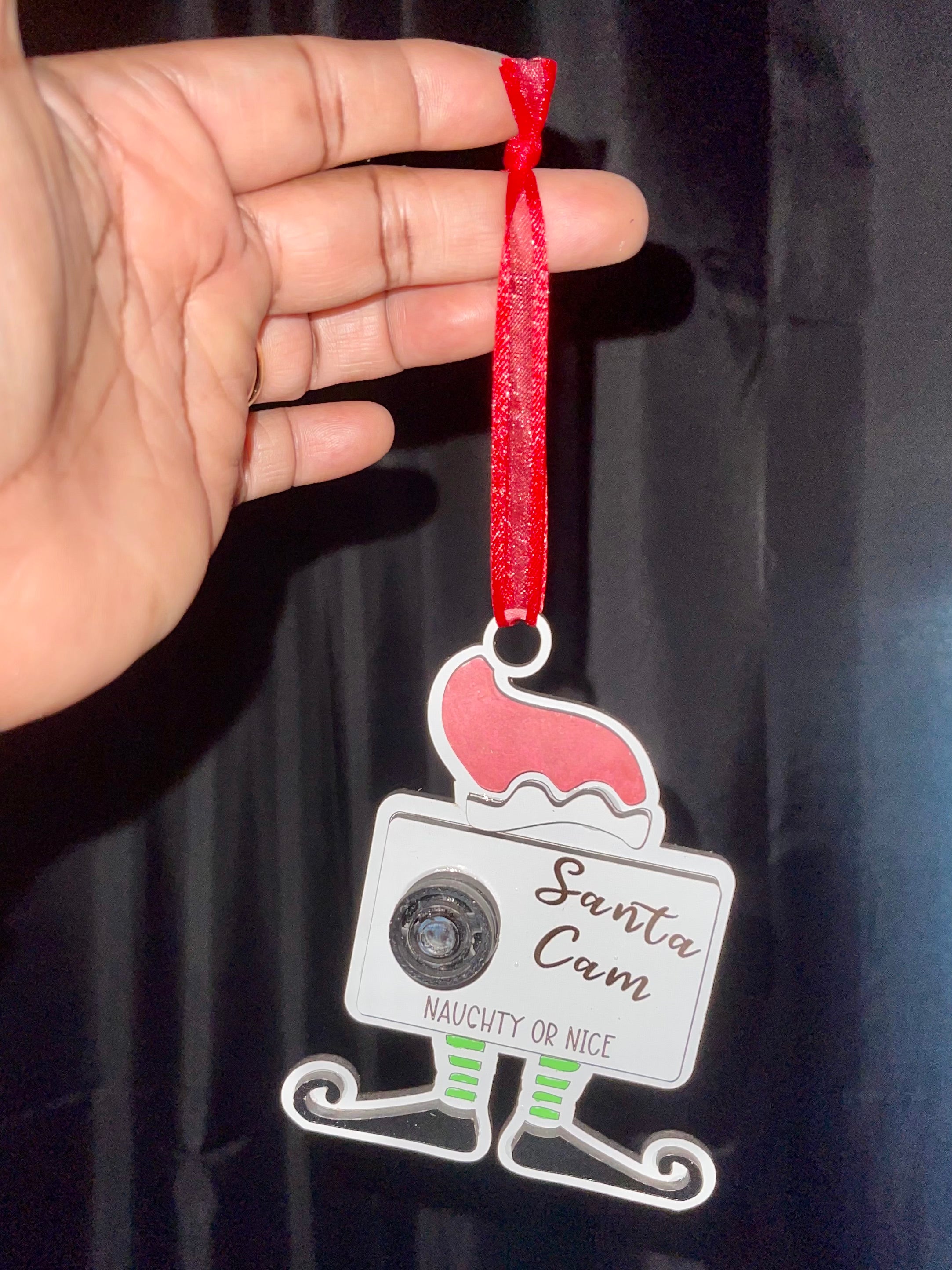 Santa Cam Ornament