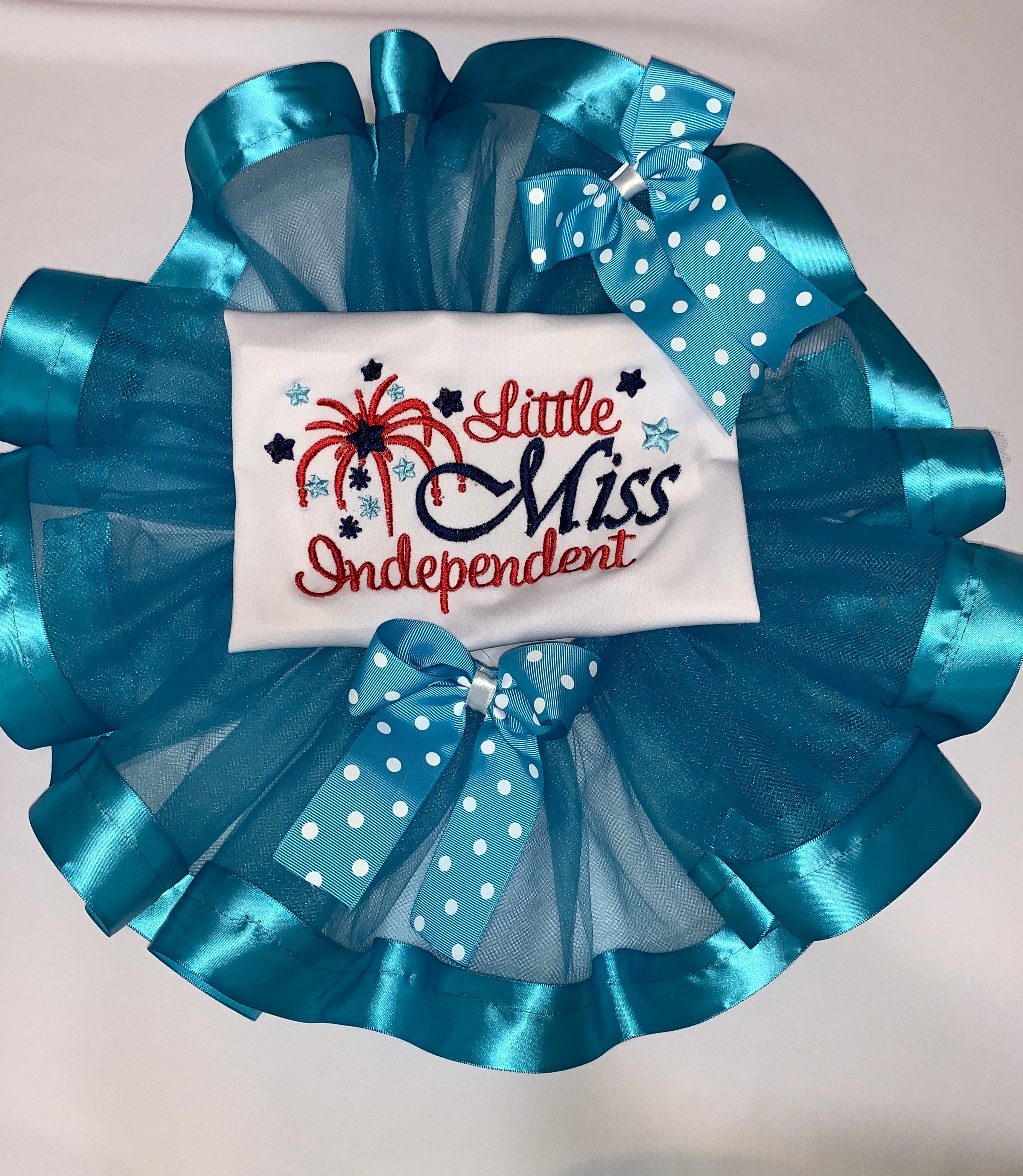 Embroidered Turquoise Ribbon trimmed Tu-Tu set
