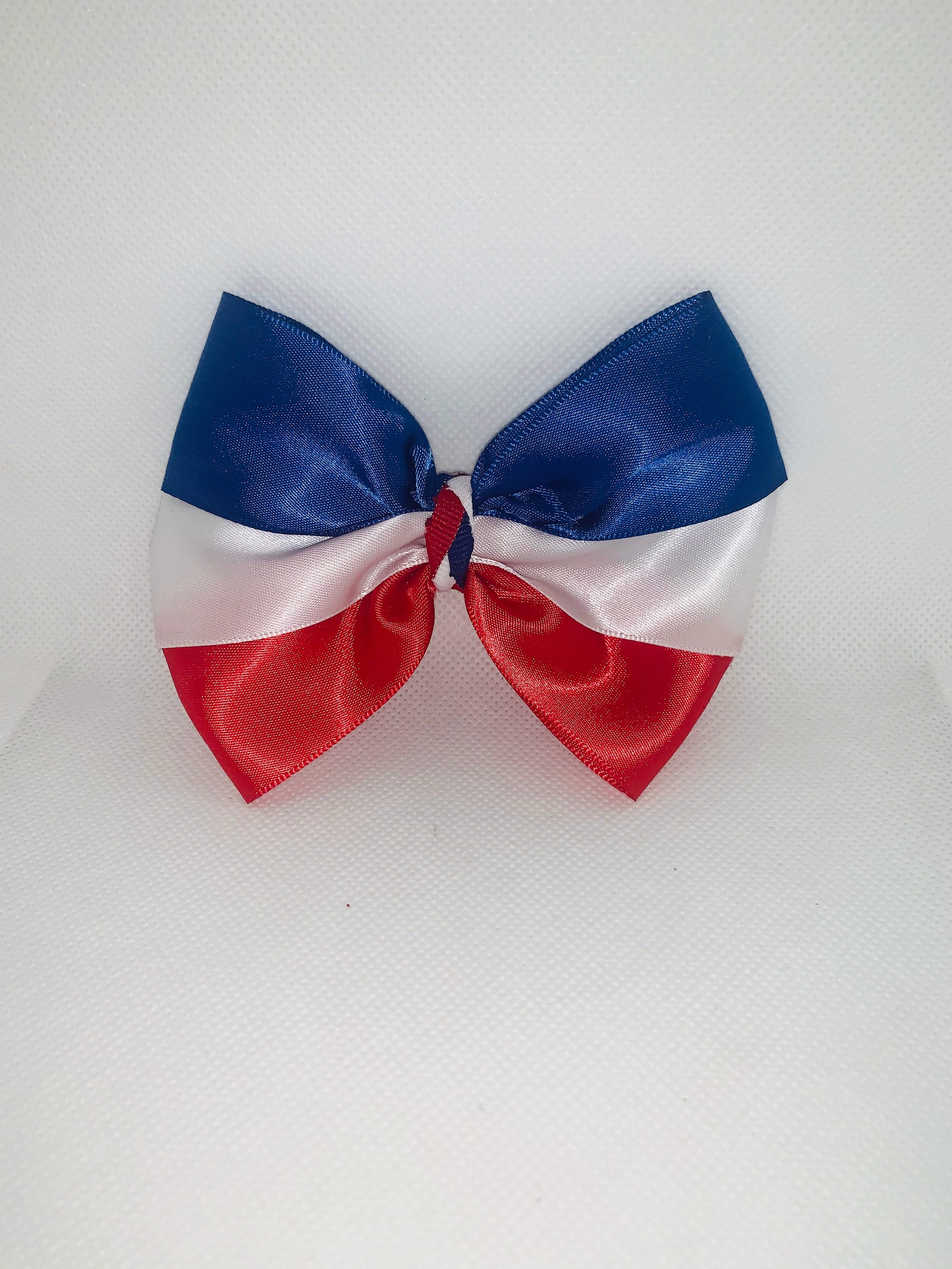 Multicolored Satin Hair Bow